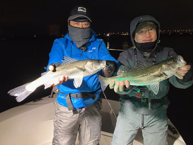 シーバス(スズキ)