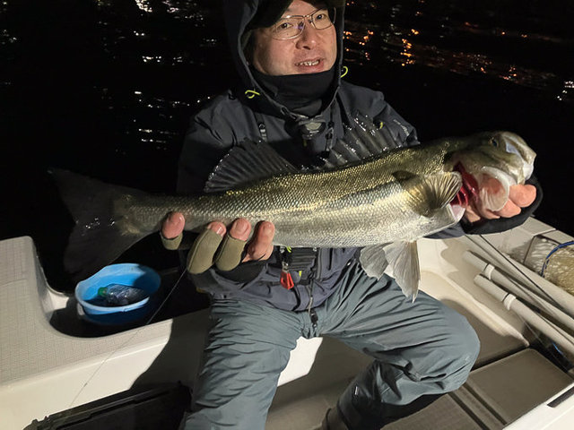 シーバス(スズキ)