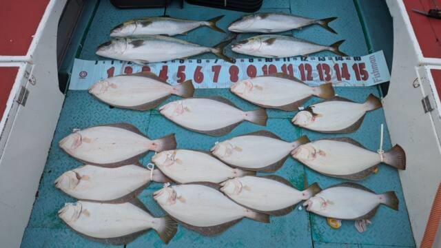 ワラサ(ブリ)・ヒラメ