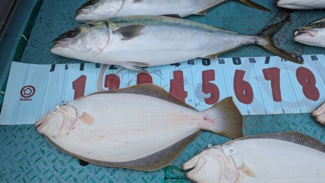 ワラサ(ブリ)・ヒラメ