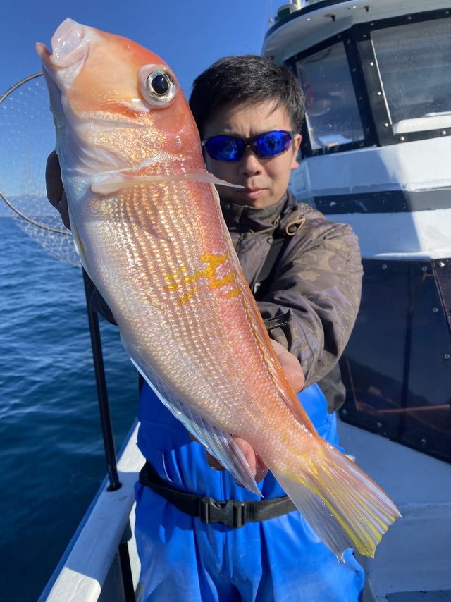 アマダイ(アカアマダイ)