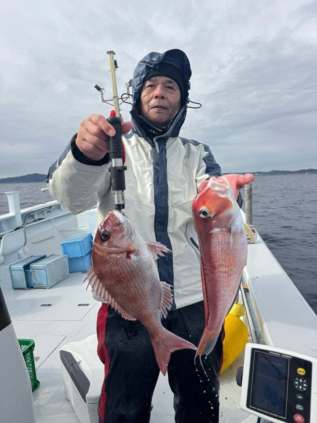 マダイ・アマダイ(アカアマダイ)