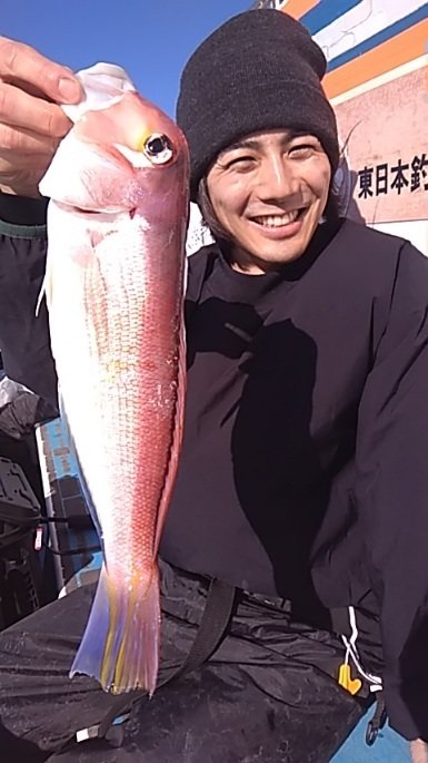 アマダイ(アカアマダイ)