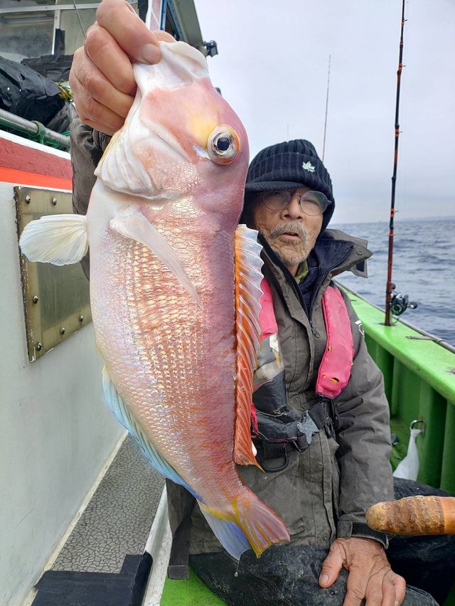 アマダイ(アカアマダイ)