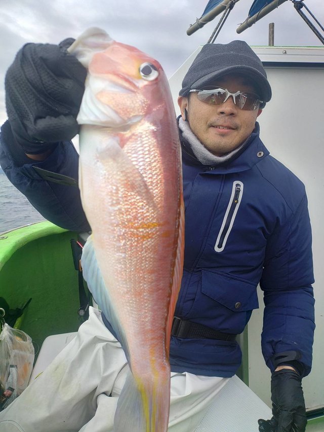 アマダイ(アカアマダイ)