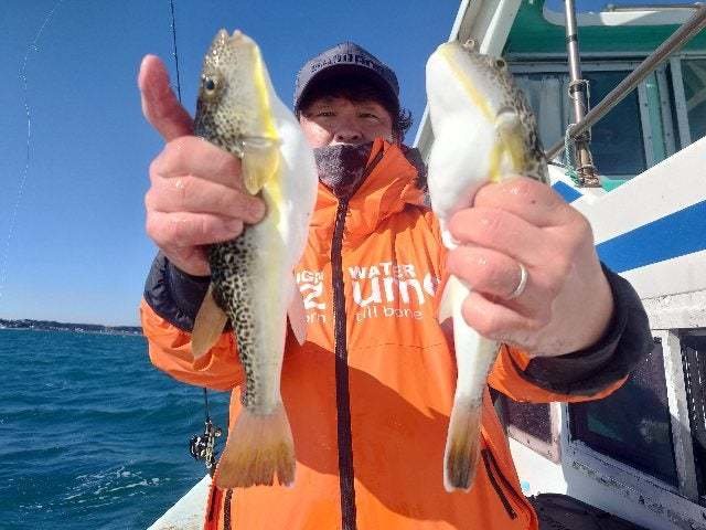 ショウサイフグ