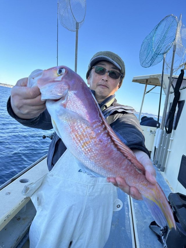 アマダイ(アカアマダイ)