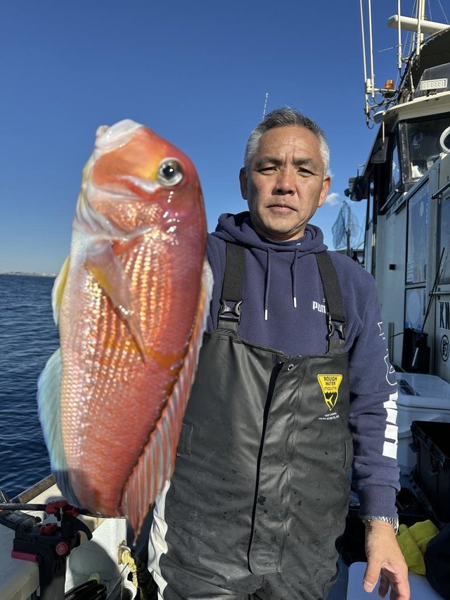 アマダイ(アカアマダイ)