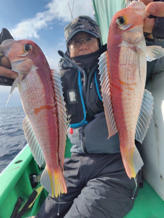 アマダイ(アカアマダイ)