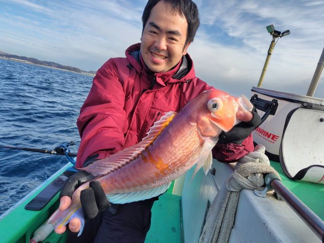 アマダイ(アカアマダイ)