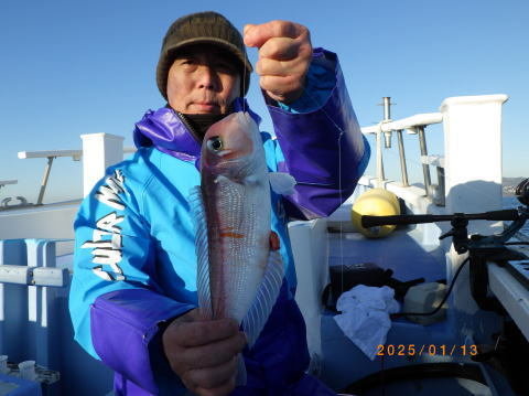 アマダイ(アカアマダイ)