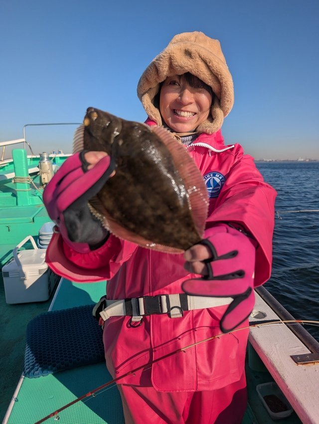 カレイ(マコガレイ)