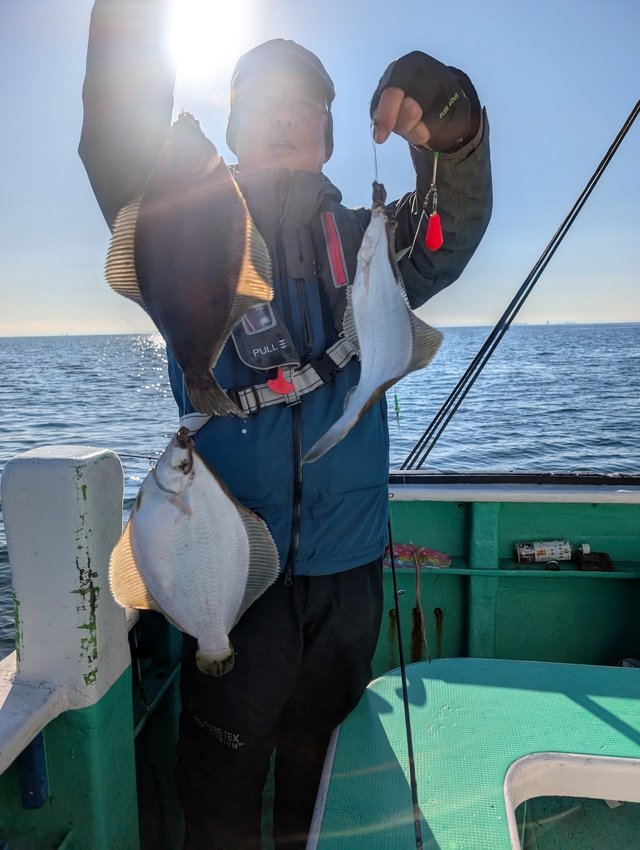 カレイ(マコガレイ)