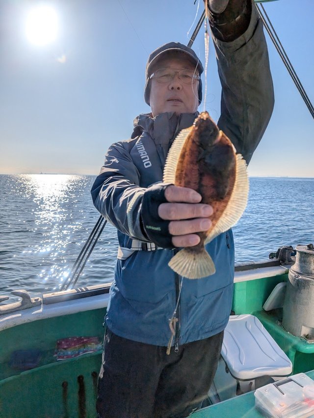 カレイ(マコガレイ)