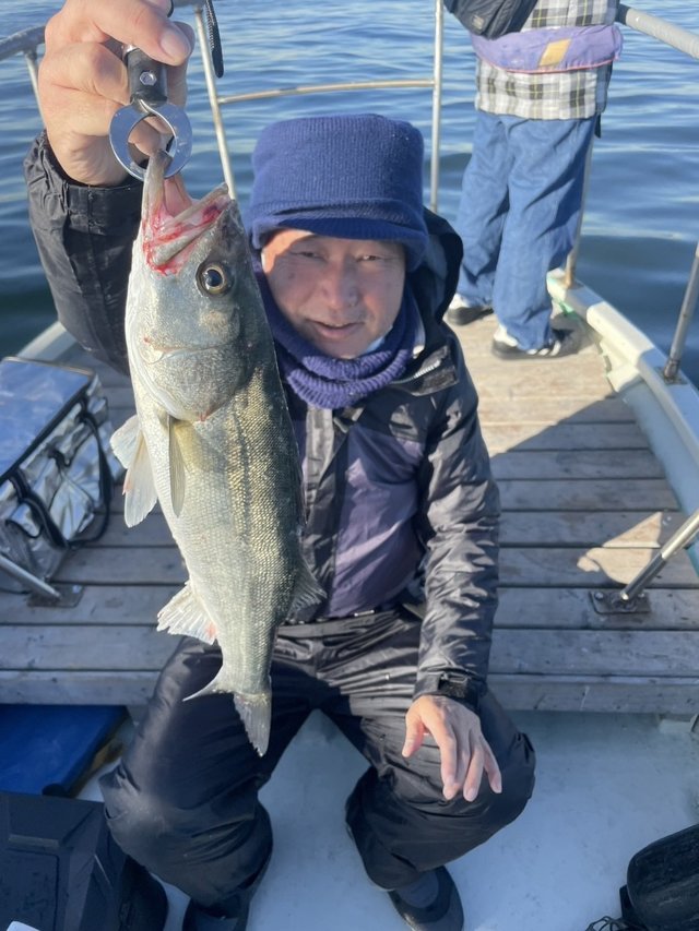 シーバス(スズキ)