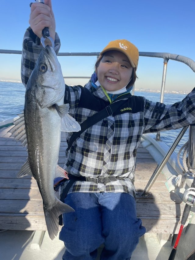 シーバス(スズキ)