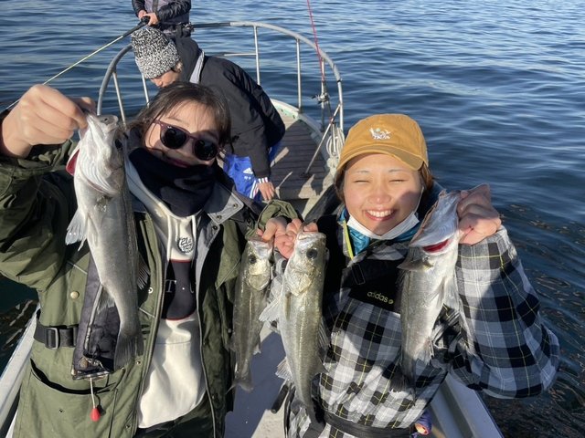 シーバス(スズキ)