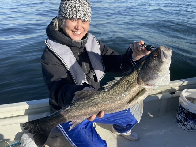 シーバス(スズキ)