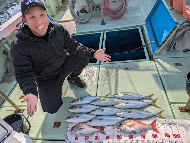 タイ(マダイ)・ハマチ(ブリ)