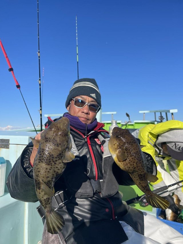 フグ(アカメフグ)