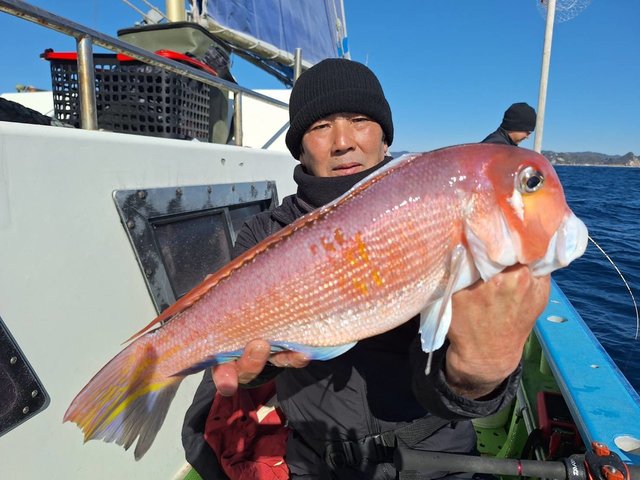 アマダイ(アカアマダイ)