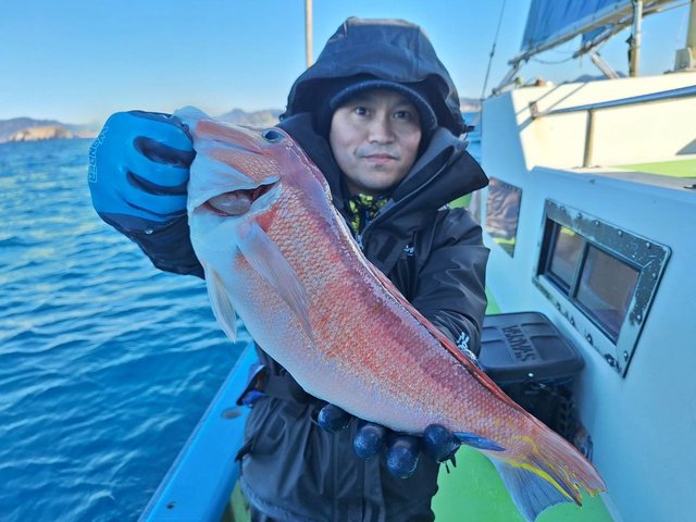 アマダイ(アカアマダイ)