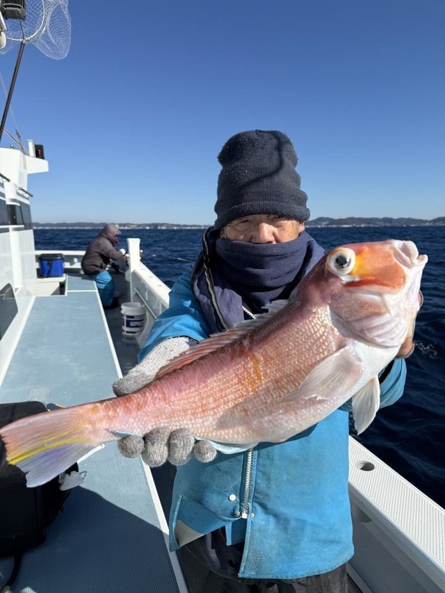 アマダイ(アカアマダイ)