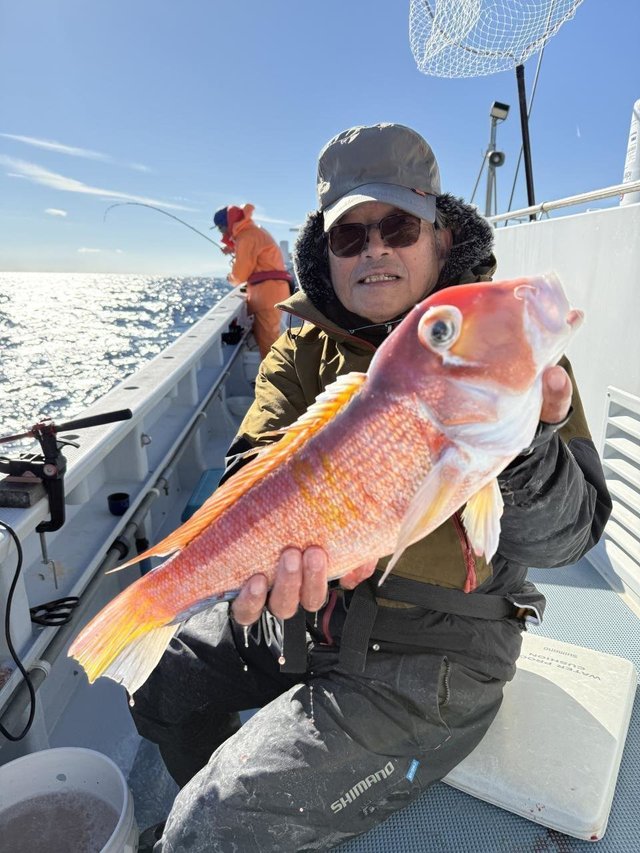 アマダイ(アカアマダイ)