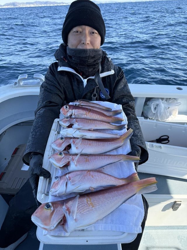 アマダイ(アカアマダイ)