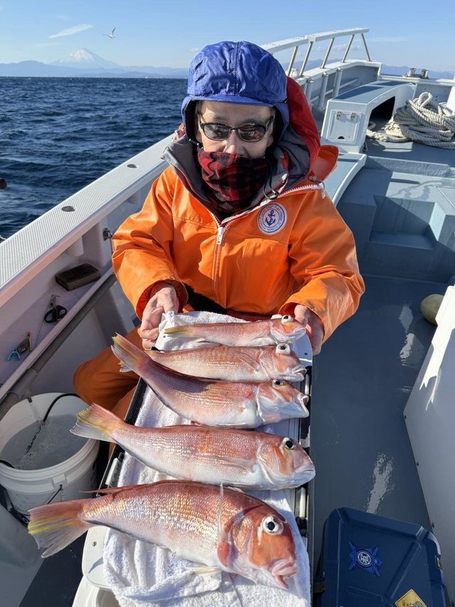 アマダイ(アカアマダイ)