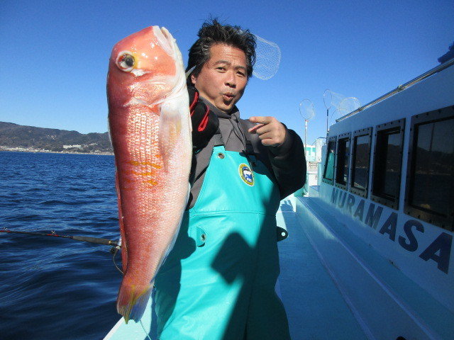 アマダイ(アカアマダイ)