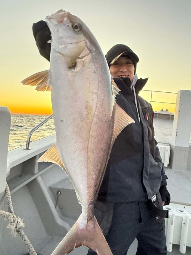 ヒレナガカンパチ