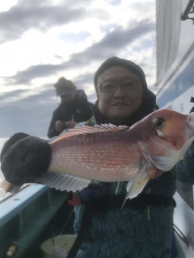 アマダイ(アカアマダイ)