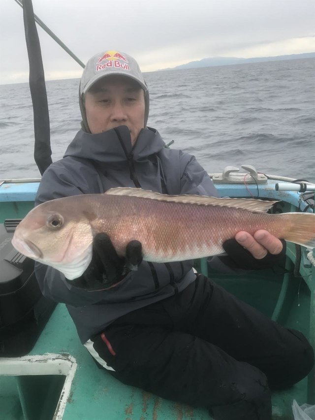 アマダイ(アカアマダイ)