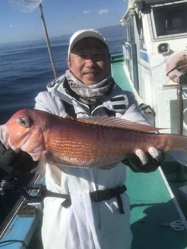 アマダイ(アカアマダイ)