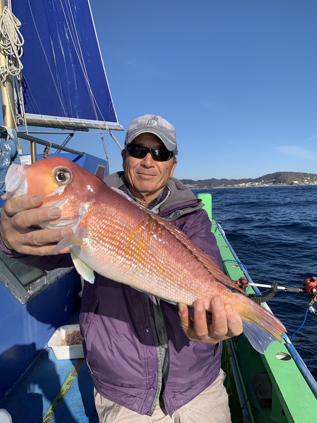 アマダイ(アカアマダイ)