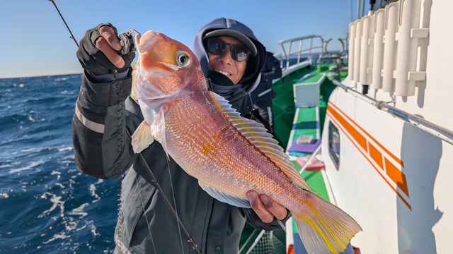 アマダイ(アカアマダイ)