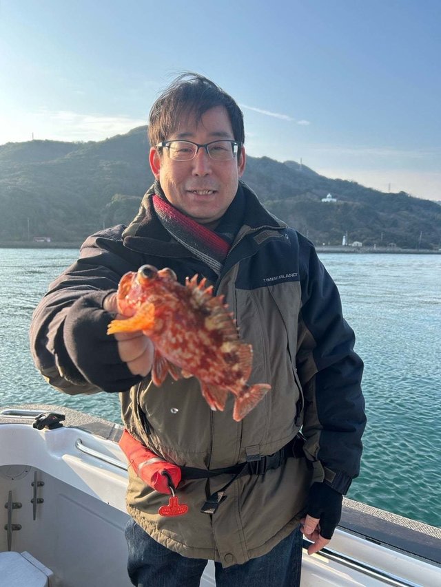 ガシラ(カサゴ)