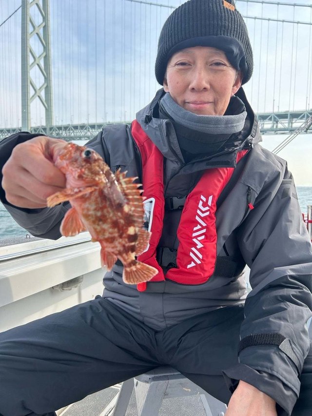 ガシラ(カサゴ)