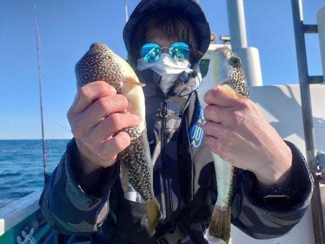 ショウサイフグ