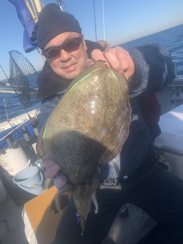 モンゴウ(カミナリイカ)