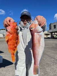 アマダイ(アカアマダイ)・オニカサゴ