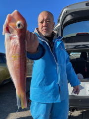 アマダイ(アカアマダイ)