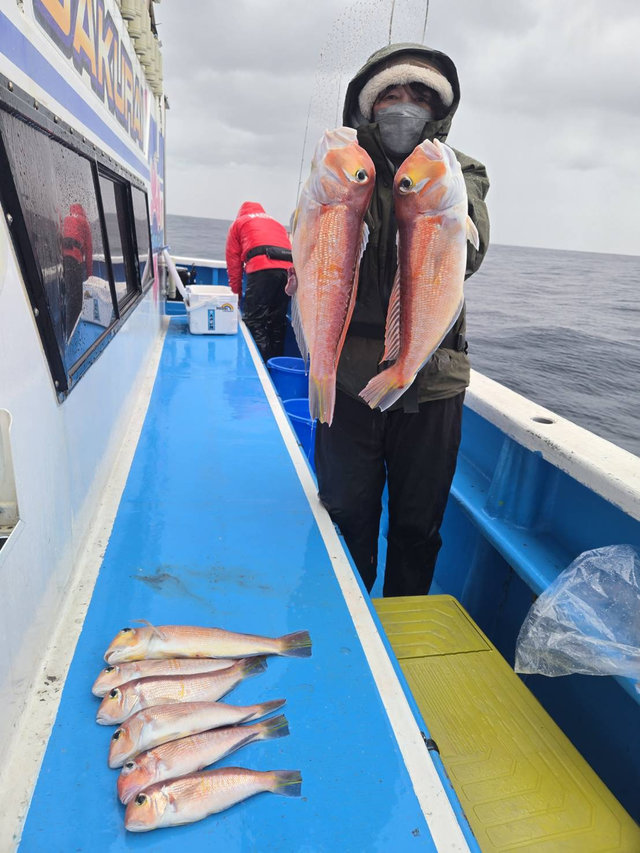 アマダイ(アカアマダイ)