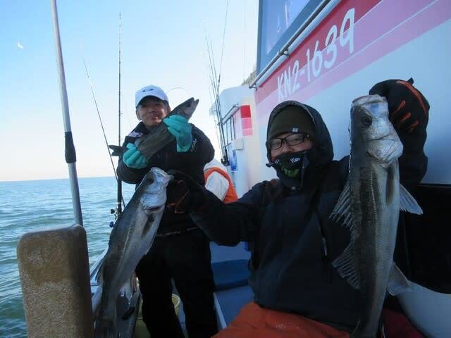 シーバス(スズキ)