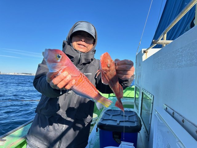 アマダイ(アカアマダイ)