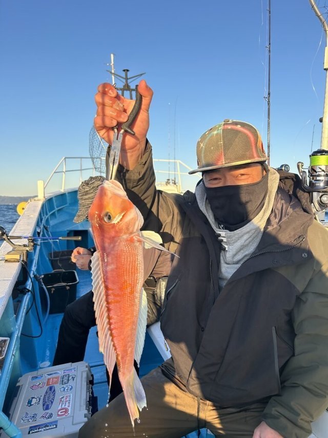 アマダイ(アカアマダイ)