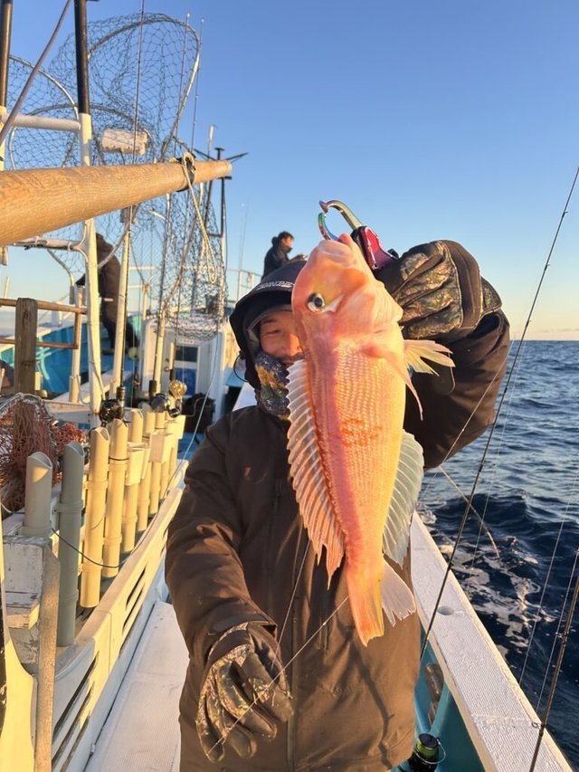 アマダイ(アカアマダイ)