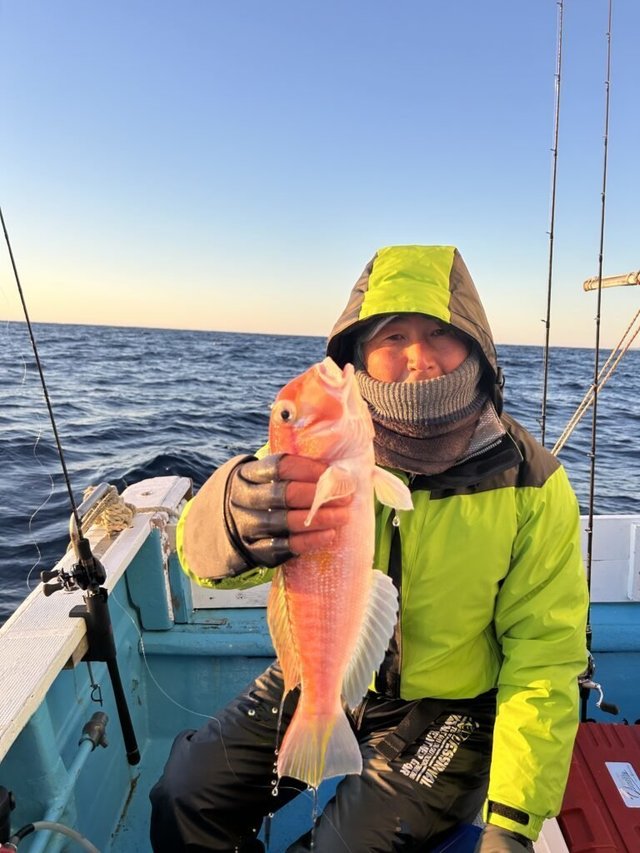 アマダイ(アカアマダイ)