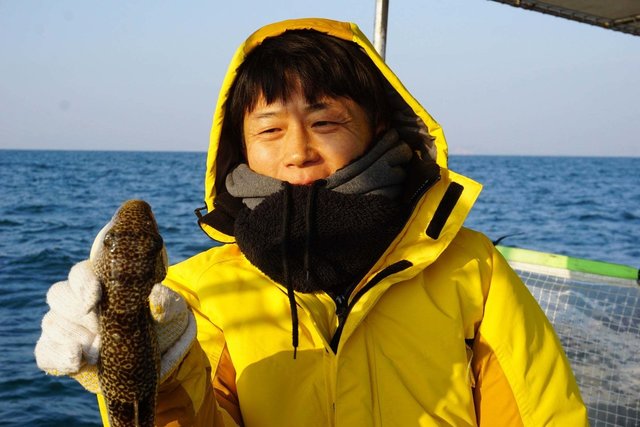 ショウサイフグ